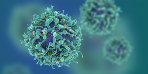 oral cancer cells